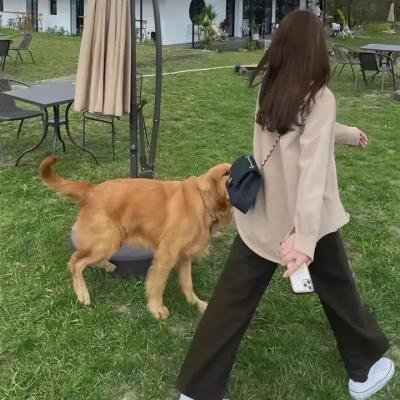 索命逍遥楼